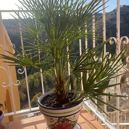 Apartman Marcella, Cumbre Del Sol Dış mekan fotoğraf